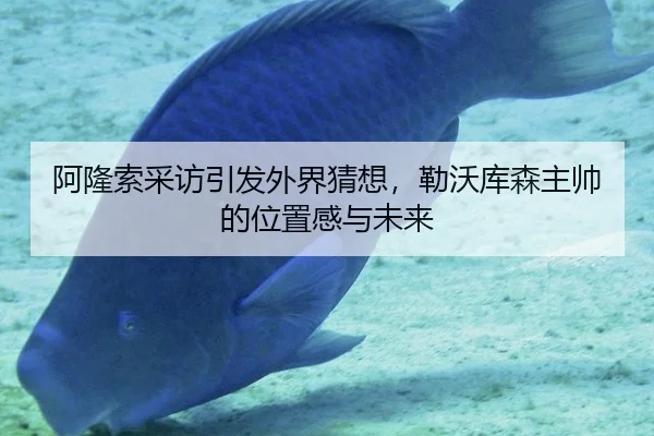 a-long-suo-cai-fang-yin-fa-wai-jie-cai-xiang-lei-wo-ku-sen-zhu-shuai-de-wei-zhi-gan-yu-wei-lai-2-336.jpg